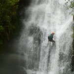 P1010120 P1010120